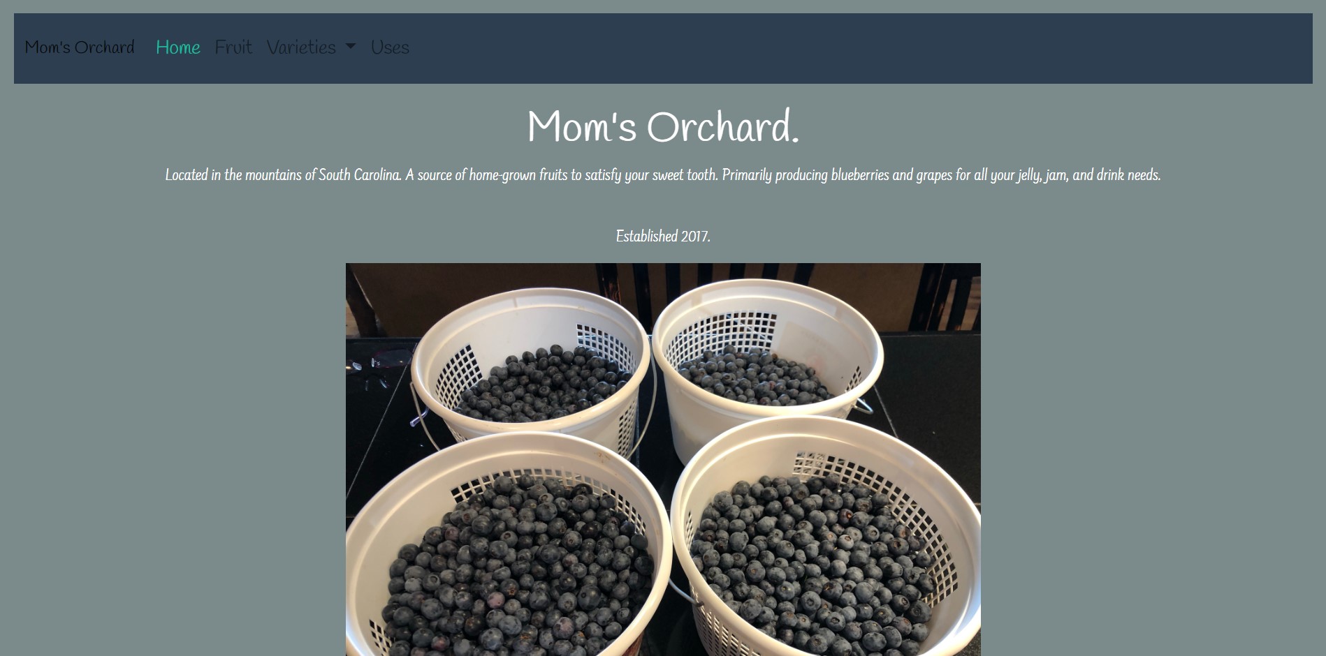 A website with a subtle blue background and an image of blueberries in baskets